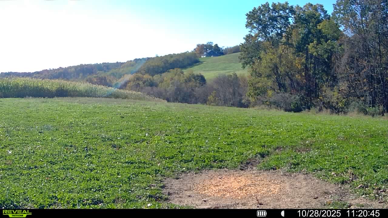 Oct 28, 2025 The same plots, revived and thriving after rainfall